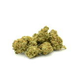 Tropical Tangie